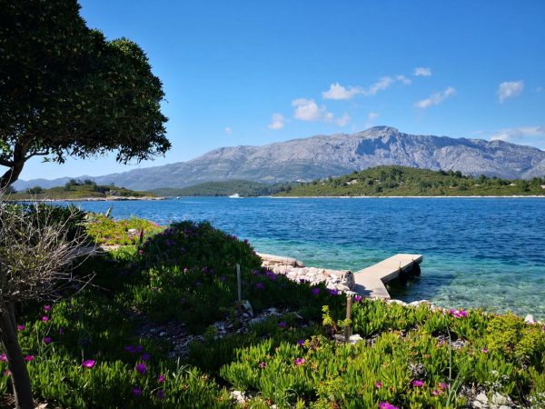 Garden Sea Dalmatia